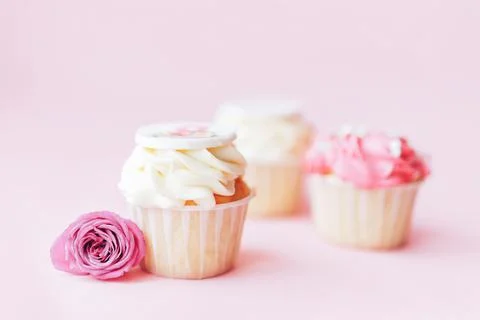 Three beautiful appetizing white and pink cupcakes against a pink background Stock Photos