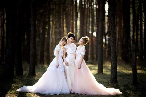 Three beautiful brides together. Stock Photos