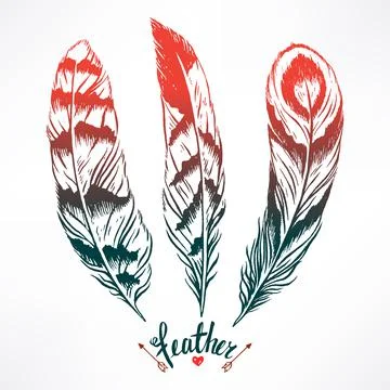 Three beautiful feathers - 2 Stock Illustration