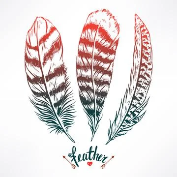 Three beautiful feathers Stock Illustration