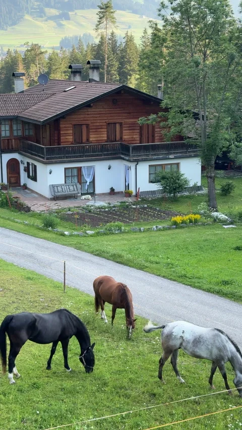 Three beautiful horses grazing in alpine pasture Stock Footage 339081493