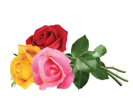 Three beautiful roses Stock Illustration