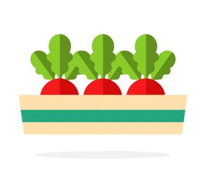 Three beets in a long pot flat isolated Stock Illustration