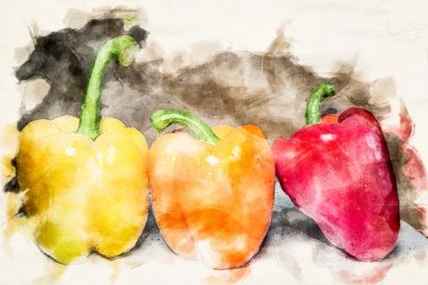 Three bellpeppers in different colors in the style of an aquarelle Stock Illustration