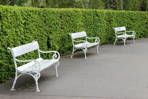 Three bench 스톡 사진