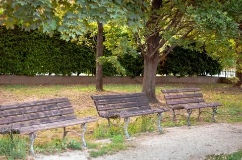 Three benches under the tree in the park, summertime Stock Photos