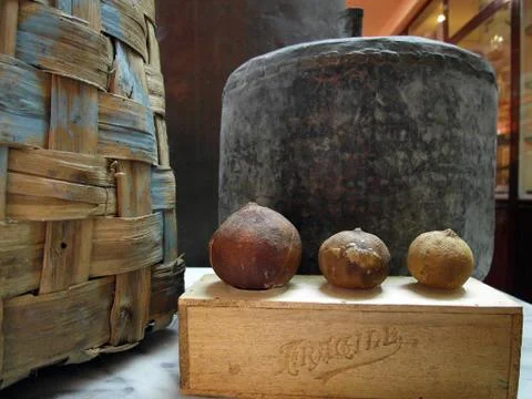 Three bergamots and a container Фото