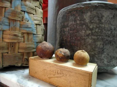 Three bergamots and a container Фото