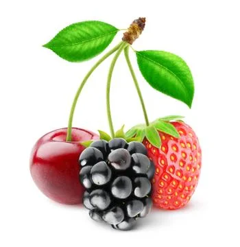 Three berries on one branch Foto stock
