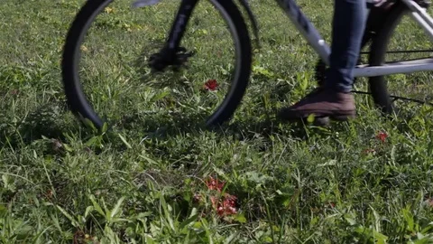 Three bicycles cycling on grass Stock Footage 74779089