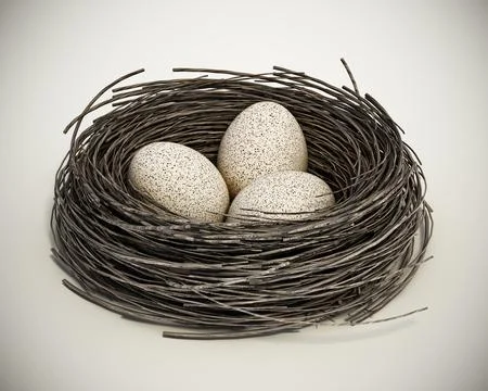 Three bird eggs inside bird's nest. 3D illustration Stock Illustration