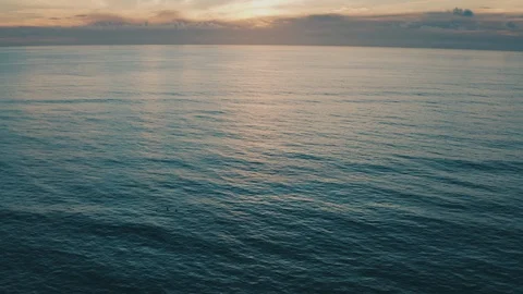 Three birds fly along the ocean in NZ Video stock 123250229