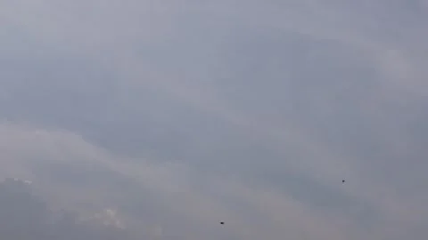Three birds flying high in pale blue sky 스톡 동영상 329401941