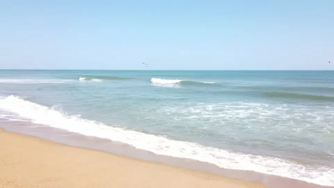 Three Birds Flying Over the Ocean waves Sunny Day Stock Footage 231714762
