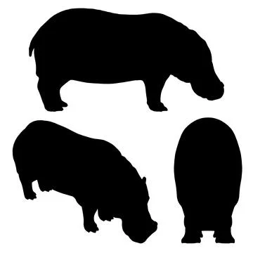 Three black and white silhouettes of a hippopotamus. The first one is looking Stock Illustration