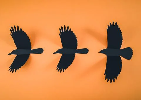 Three black crows on an orange background. Stock Photos