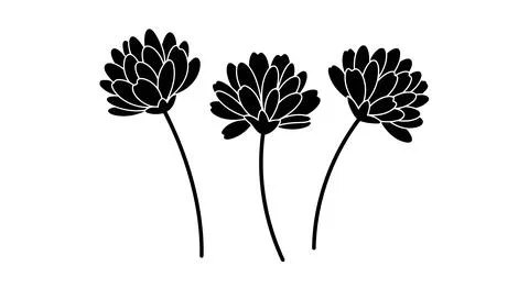 Three black flowers with thin stems and petals Ilustração Stock