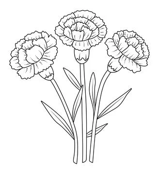 Three black line carnations Stock Illustration