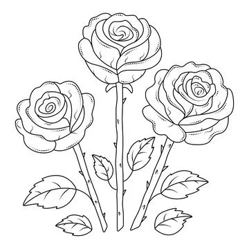 Three black line roses Stock Illustration