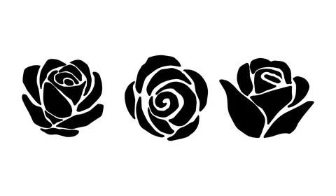 Three black silhouette roses in different position Stock Illustration