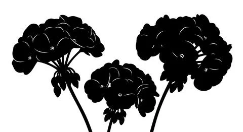 Three black silhouettes of flowers on thin stems Stockillustratie