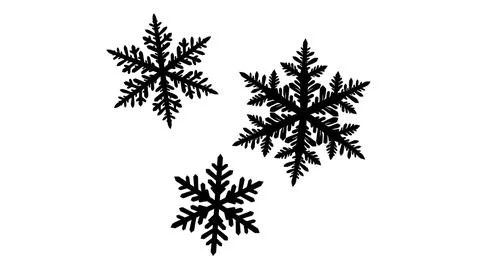 Three Black Snowflake Silhouettes on White Background Stock Illustration