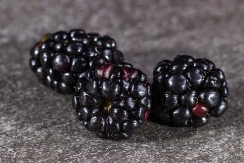Three blackberries on gray stone 写真素材