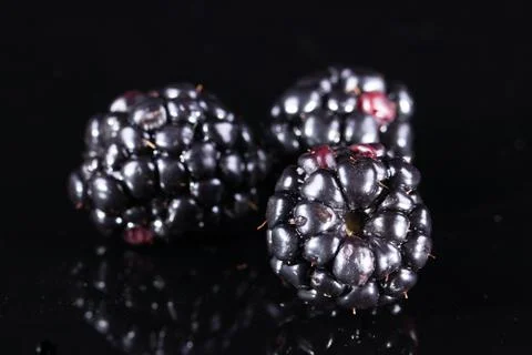 Three blackberries isolated on black Stock Photos