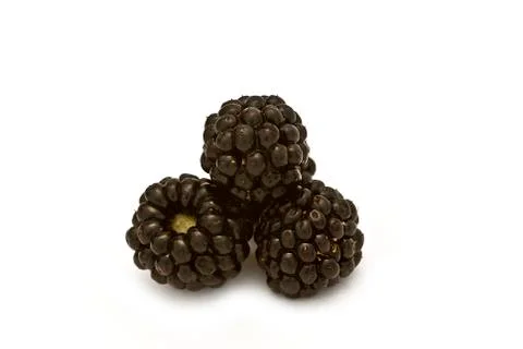Three blackberries. Stock Photos