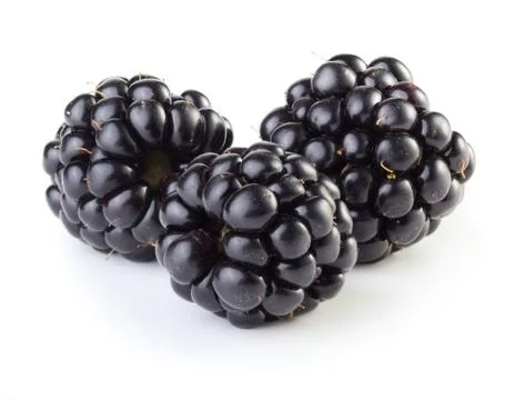 Three blackberries Stock Photos