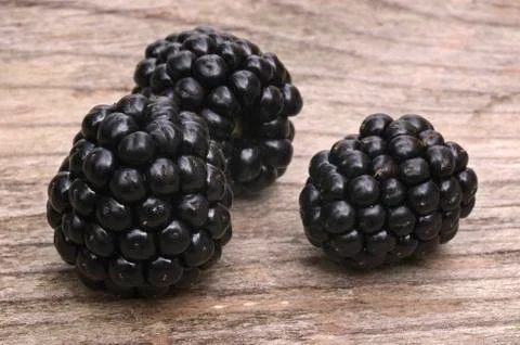 Three blackberries Stock Photos