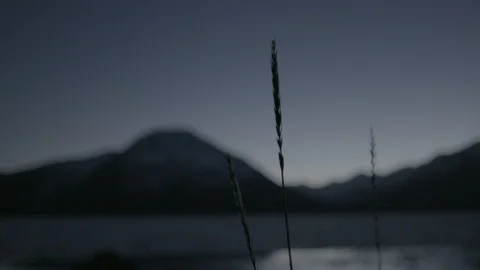 Three blades of grass against the mountains at distance Video stock 104525563
