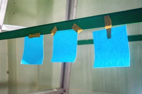 Three blank blue sticky notes taped to a green metal bar with yellow tape, .. Stock-Fotos