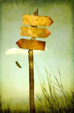 Three blank sign on distant view with flying rapacious Stock Illustration