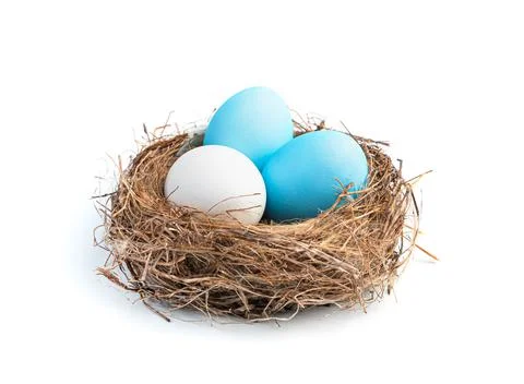 Three blue and white Easter eggs in a nest isolated on a white background. Stock Photos