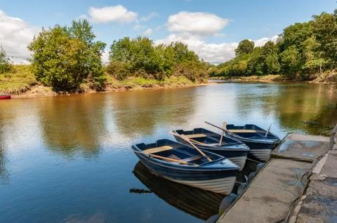 Three blue and white rowing boats moored on a tranquil river on a sunny day Stock Photos
