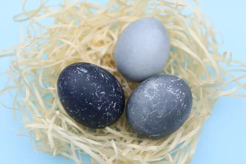 Three blue Easter eggs in decorative straw Stock Photos