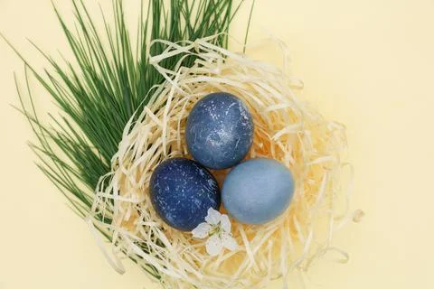 Three blue Easter eggs in decorative straw Stock Photos