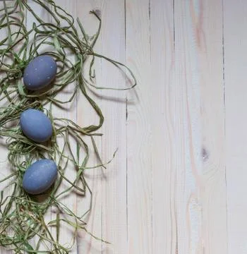 Three blue easter eggs in green shavings on a light background Stock Photos