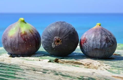 Three blue figs Stock Photos