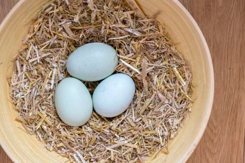 Three blue organic eggs Foto stock