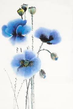 Three blue poppies Stock Illustration