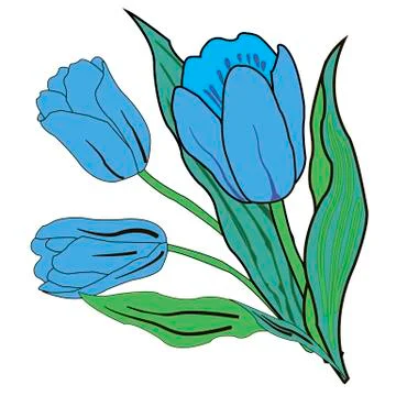 Three blue tulips on a white background Stock Illustration