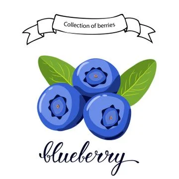 Three blueberries Illustrazione stock