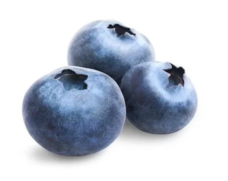 Three blueberries isolated Stock Photos