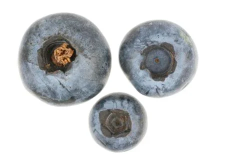 Three blueberries isolated in white Stock Photos