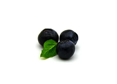 Three blueberries with a leaf Stock-Fotos