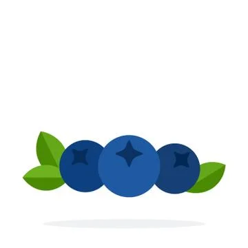 Three blueberries with the leaves vector flat material design isolated object on Stock Illustration