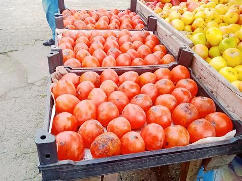 Three boxes with persimmons and yellow apples nearby Foto stock