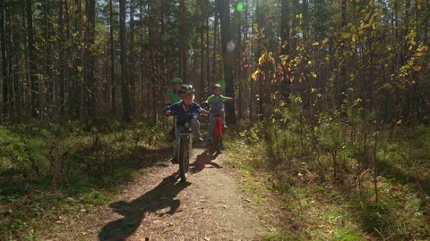 Three boys riding bikes through the forest Stock Footage 99747107